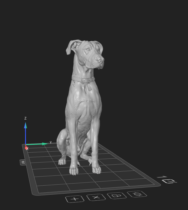 Great Dane — finished