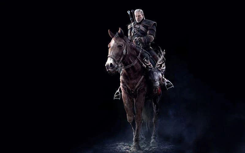 The Witcher — after