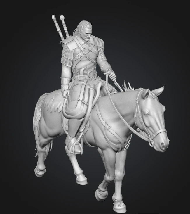 The Witcher — detail